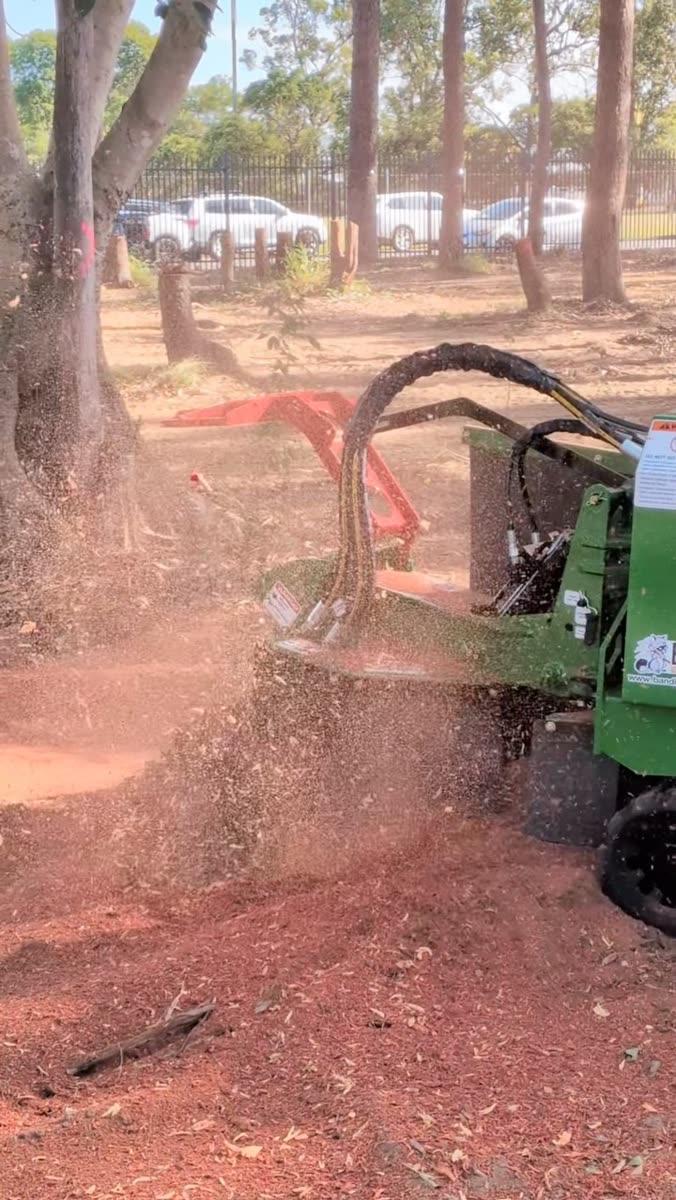 The Bandit 2550T stump grinder at work, chips flying